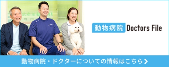 動物病院 ドクターズファイル 動物病院・ドクターについての情報はこちら