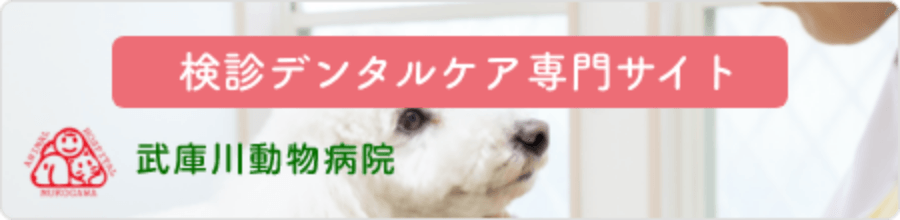 武庫川動物病院 検診デンタルケア専門サイト