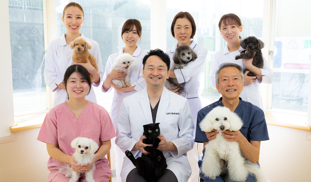 武庫川動物病院のスタッフ集合写真