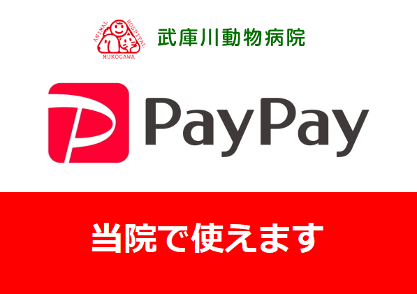 受付